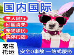 张孝机场邮寄国际宠物托运 【国
